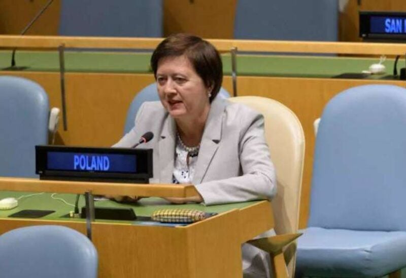 New UN envoy to Lebanon Ioana Vroneska