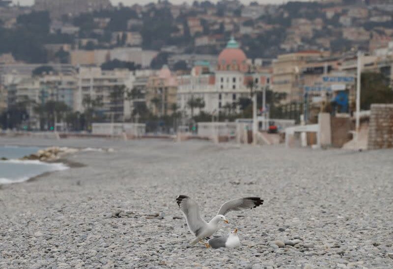 FILE PHOTO: Seagulls are seen on an empty beach of the Promenade des Anglais during the first local weekend lockdown imposed to slow the rate of the coronavirus disease (COVID-19) contagion, in Nice, France, February 27, 2021.