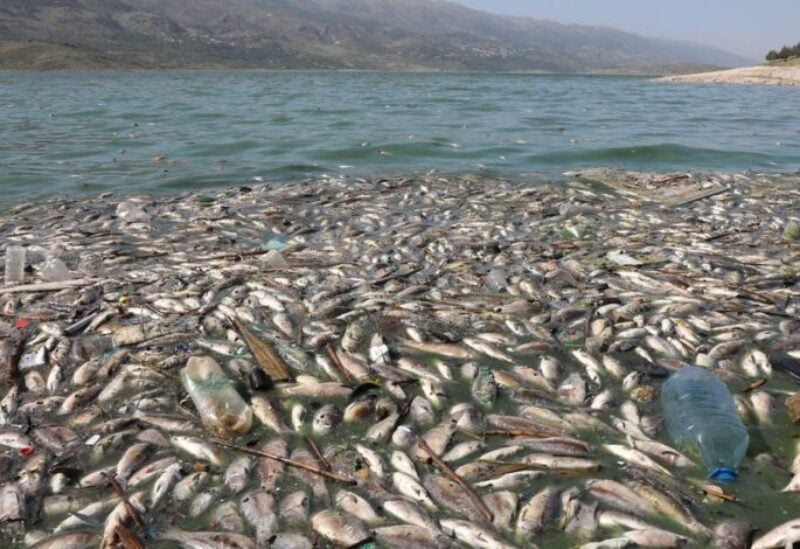 Dead fish are seen floating in Lake Qaraoun on the Litani River, Lebanon April 29, 2021. Picture taken April 29, 2021. REUTERS