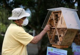 Hector Ivan Valencia, an assistant for the local authority's risk management unit, cleans the structure of a wooden hotel for solitary bees made by the Metropolitan Area of the Aburra Valley (AMVA) in Barbosa, Colombia April 21, 2021. REUTERS