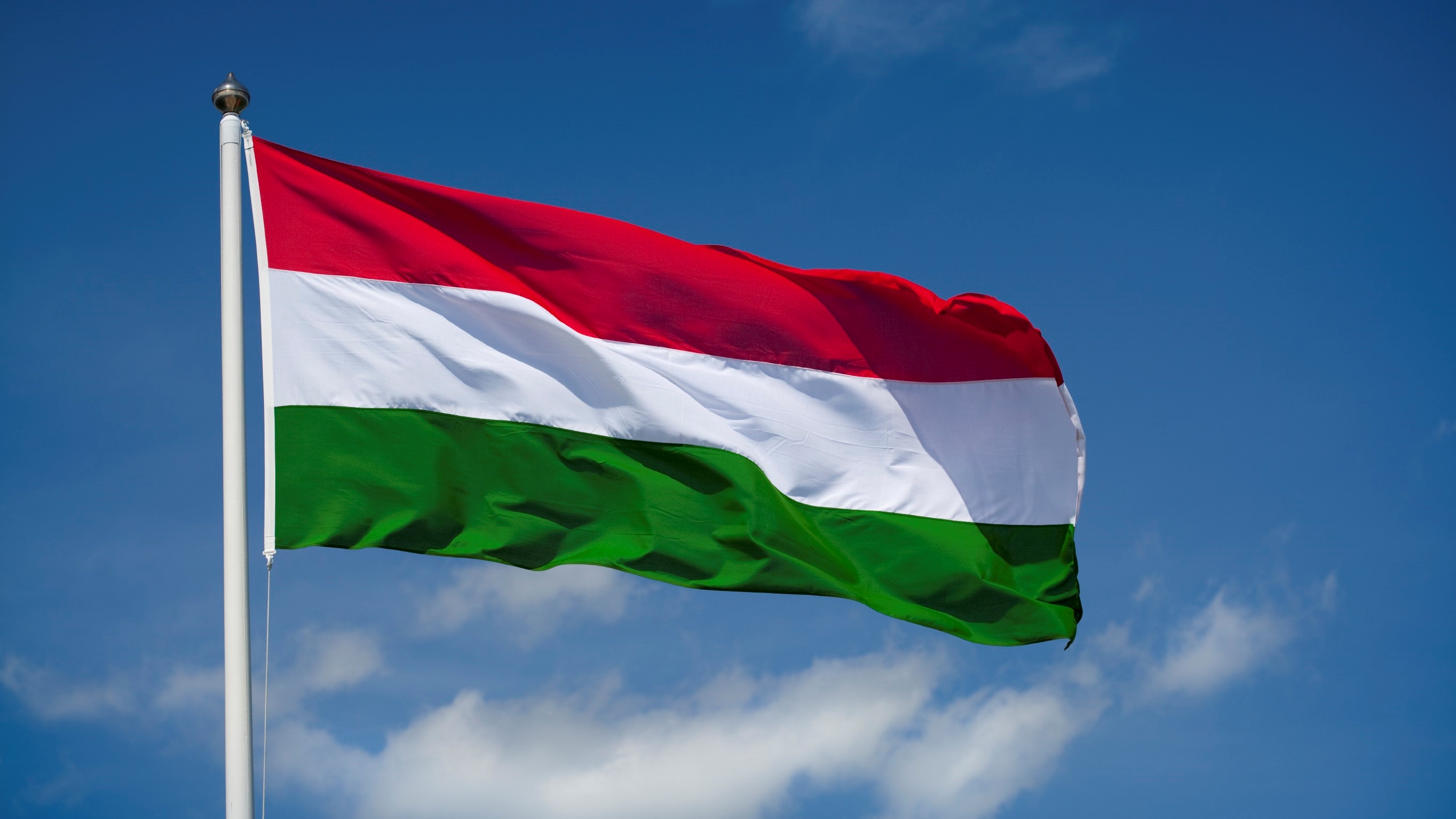 Hungarian flag