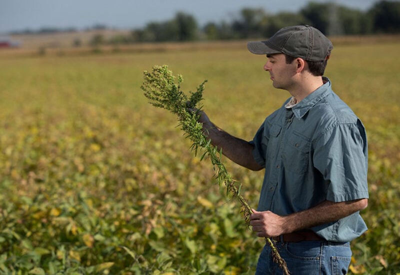 Farmers in Europe