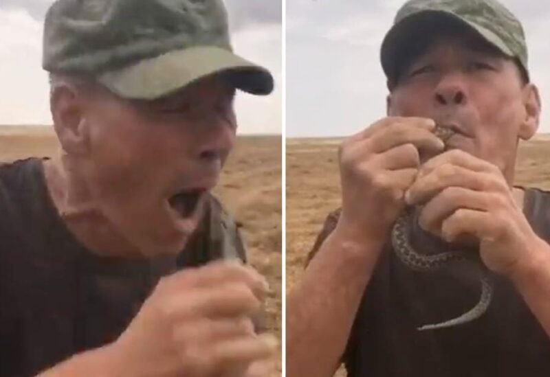 According to Russian agency Interfax, the man was rushed to the intensive care unit of the Kharabalin regional hospital on September 22. The report said the man was entertaining his friends in the field when he put the snake in his mouth. (via YouTube)