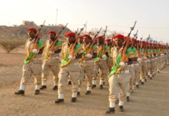 Troops in Eritrean uniforms