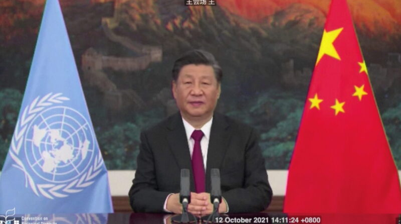 Chinese President Xi Jinping delivers a speech addressing the COP15 biodiversity summit in Kunming, China October 12, 2021. SECRETARIAT OF THE CONVENTION ON BIOLOGICAL DIVERSITY/Handout via REUTERS