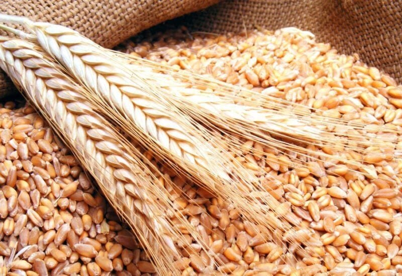 China accused of storing wheat