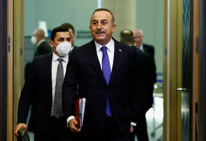 Turkish Foreign Minister Mevlut Cavusoglu