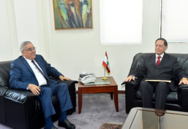 Bou Habib meets delegation of elections supervisory commission | Sawt ...