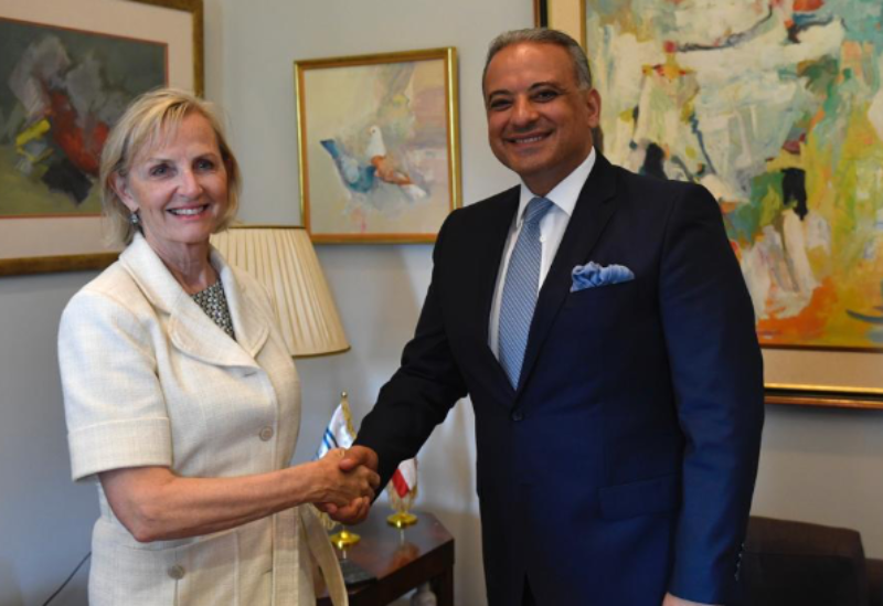 Culture minister meets Swedish ambassador