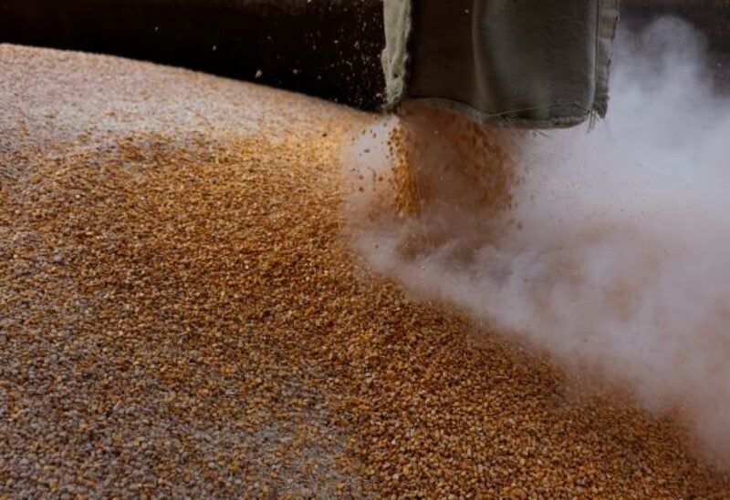 Grain is loaded on a truck at the Mlybor flour mill facility, in Chernihiv region
