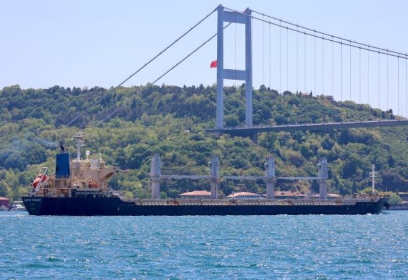 'Glimmer of hope' as Ukraine grain ship leaves Odesa port