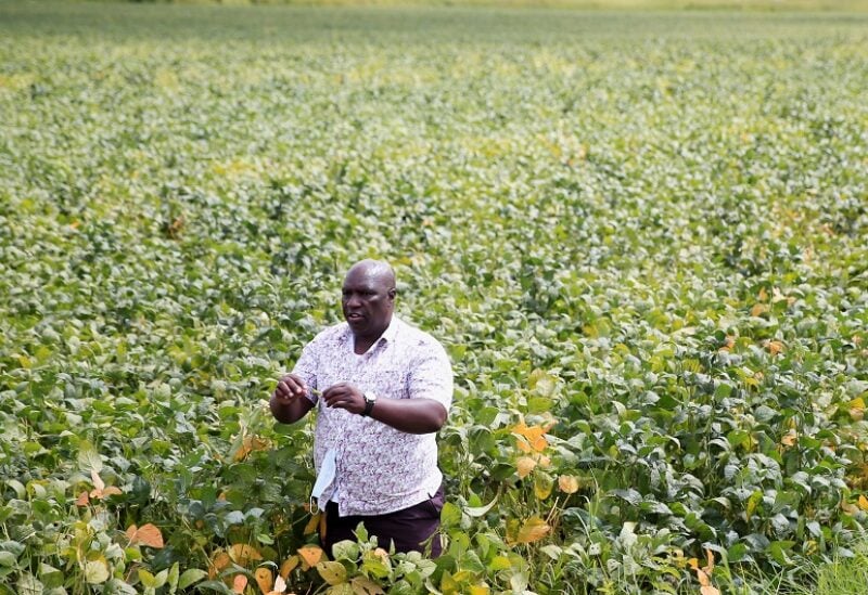 A farmer Boniface Mutize gestures during an interview with Reuters at his soya beans farm in Domboshava, a village in the province of Mashonaland East outside Harare, Zimbabwe, March 21,2022. Picture taken March 21, 2022. REUTERS/Philimon Bulawayo