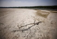 A view shows Po's dry riverbed, as parts of Italy's longest river and largest reservoir of freshwater have dried up due to the worst drought in the last 70 years, in Malcantone, near Ferrara, Italy June 23, 2022. REUTERS/Guglielmo Mangiapane