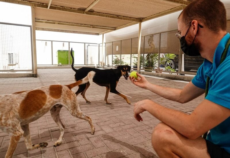 A volunteer plays with dogs at the "K9 Friends" shelter in Dubai, United Arab Emirates, July 14, 2022. REUTERS/Amr Alfiky
