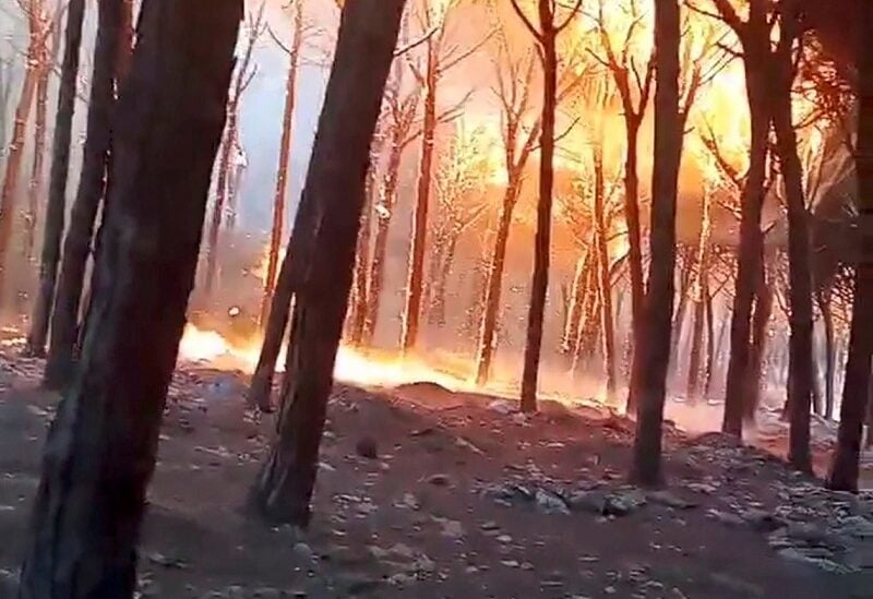 A view shows trees burning during a forest fire in Larache, Morocco July 14, 2022 in this still image obtained from a social media. Mustapha Mhamdi/via REUTERS THIS IMAGE HAS BEEN SUPPLIED BY A THIRD PARTY. MANDATORY CREDIT. NO RESALES. NO ARCHIVES.
