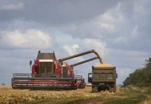 Combines lead wheat in Russian-held part of Zaporizhzhia region, Ukraine July 23, 2022. REUTERS/Alexander Ermochenko