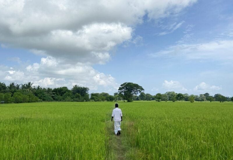 Nallathambi Mahendran, 67, a farmer, walks through his paddy field, amid the country's worst economic crisis, in Kilinochchi, Sri Lanka July 28, 2022. REUTERS/ Devjyot Ghoshal