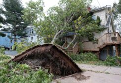 A fallen tree lies on a house following the passing of Hurricane Fiona, later downgraded to a post-tropical storm, in Halifax, Nova Scotia, Canada September 24, 2022. REUTERS/Ted Pritchard