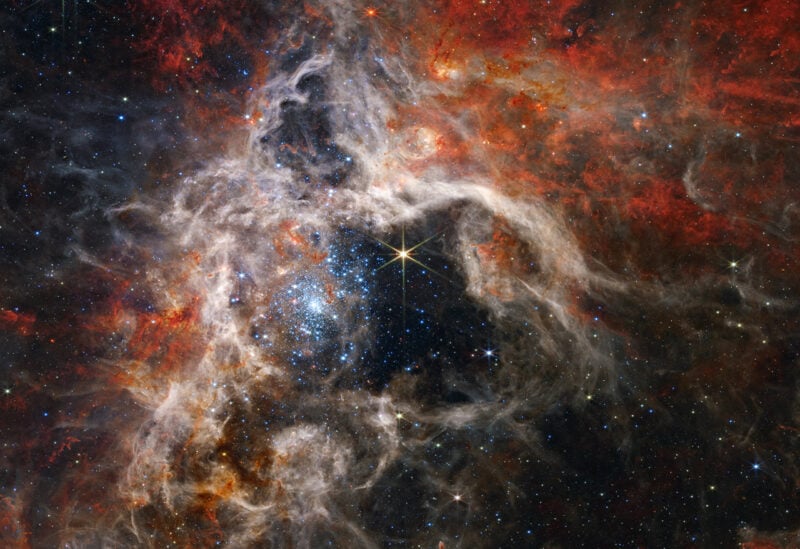 In this mosaic image stretching 340 light-years across, Webb’s Near-Infrared Camera (NIRCam) displays the Tarantula Nebula star-forming region in a new light, including tens of thousands of never-before-seen young stars that were previously shrouded in cosmic dust. (Supplied: NASA)