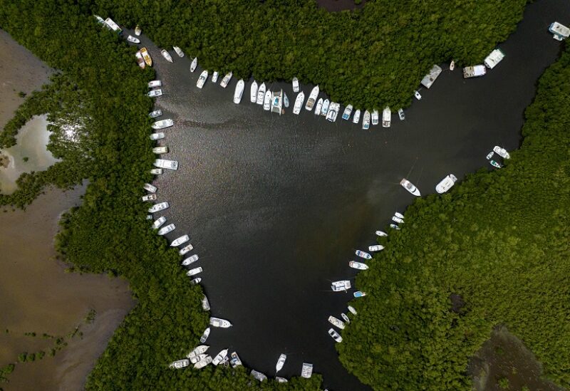 Boats sit secured to mangroves as tropical storm Fiona approaches in Cabo Rojo, Puerto Rico September 17, 2022. REUTERS/Ricardo Arduengo TPX IMAGES OF THE DAY