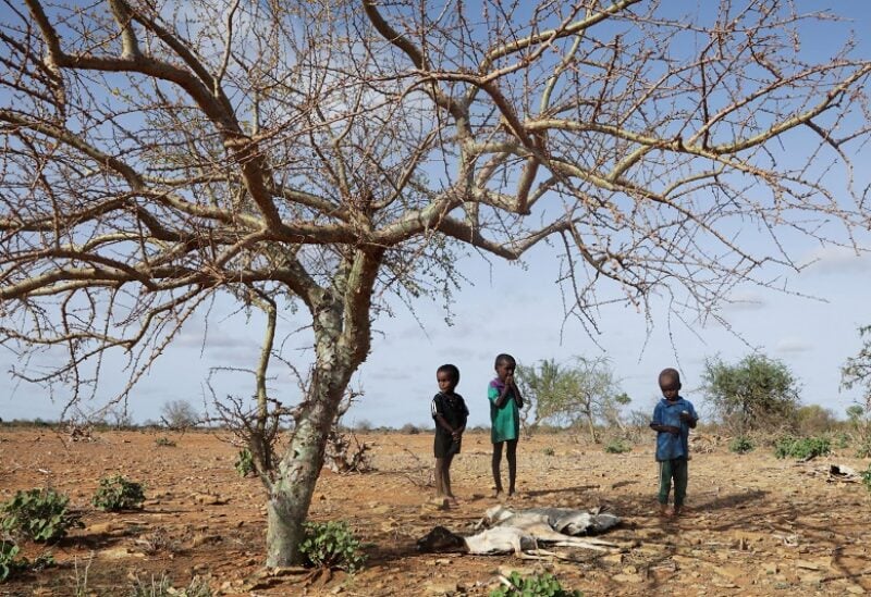 FILE PHOTO: Internally displaced Somali children Ali Abdulahi, Osman Abdulahi and Mohamed Abdulahi stand near the carcass of their dead livestock following severe droughts near Dollow, Gedo Region, Somalia May 26, 2022. Picture taken May 26, 2022. REUTERS/Feisal Omar/File Photo