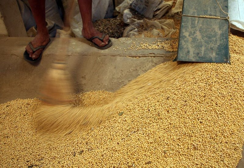 A worker sweeps soybeans in a packing plant in Santa Cruz, November 30, 2007. REUTERS/Andres Stapff/File Photo