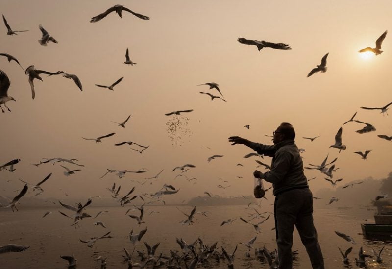 A man feeds birds amidst heavy smog on the banks of Yamuna river in the old quarters of Delhi, India, November 4, 2022. REUTERS/Adnan Abidi