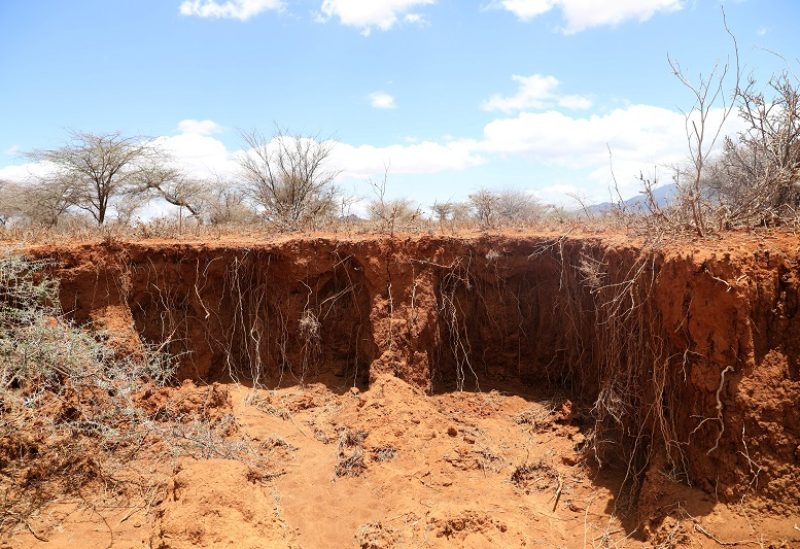 Exposed roots are seen in soil that was swept away in a gully near Naibeliblie northern Kenya, September 20, 2022. REUTERS/Baz Ratner
