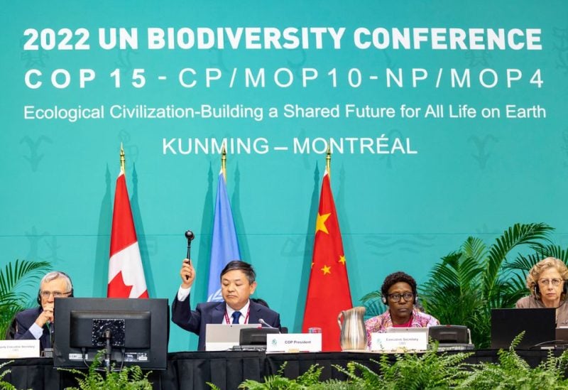 COP15 reaches deal to halt decline in nature by 2030