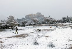 People and their dogs make their way on Pnyka hill, as the Parthenon temple is seen in the background, during snowfall in Athens, Greece, February 6, 2023. REUTERS