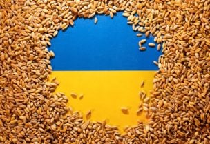 Ukrainian flag is covered with grains in this picture illustration taken May 9, 2022. REUTERS