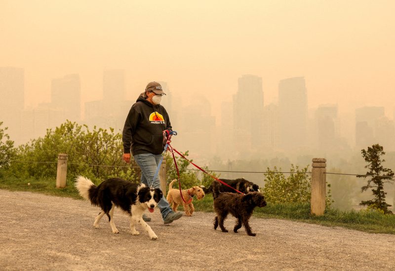 Leslie Kramer walk her dogs as some 90 wildfires are active in Alberta, with 23 out of control, according to the provincial government, in Calgary, Alberta, Canada May 16, 2023. REUTERS/Leah Hennel/File Photo
