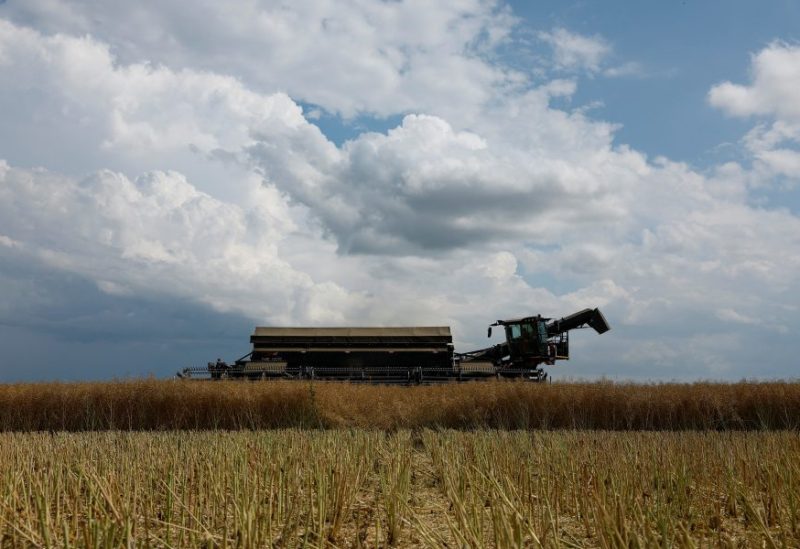 Agricultural worker Artem Nechai operates a combine during a rapeseed harvesting in a field near the village Kyshchentsi, amid Russia's attack on Ukraine, in Cherkasy region, Ukraine July 18, 2023. REUTERS/Valentyn Ogirenko