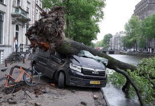 A fallen tree lies on a van after a storm hit Amsterdam, Netherlands July 5, 2023. REUTERS/Esther Verkaik