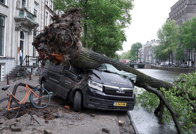 A fallen tree lies on a van after a storm hit Amsterdam, Netherlands July 5, 2023. REUTERS/Esther Verkaik