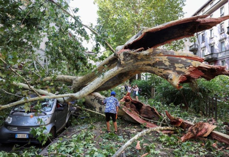 People stand amidst fallen trees following thunderstorms and torrential rain in Milan, Italy July 25, 2023. REUTERS