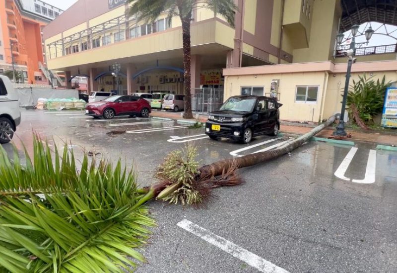 A view of a damaged car and a fallen tree after the heavy rain and strong winds brought by Typhoon Khanun in Chatan, Okinawa Prefecture, Japan August 2, 2023, in this screengrab obtained from a social media video. Nattiy_TiiiMO/via REUTERS/File Photo