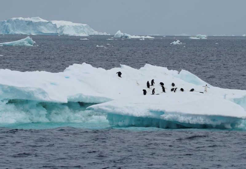 Penguins are seen on an iceberg as scientists investigate the impact of climate change on Antarctica's penguin colonies, on the northern side of the Antarctic peninsula, Antarctica January 15, 2022