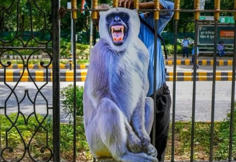 Huge cut-outs of langur monkeys have been installed in Delhi