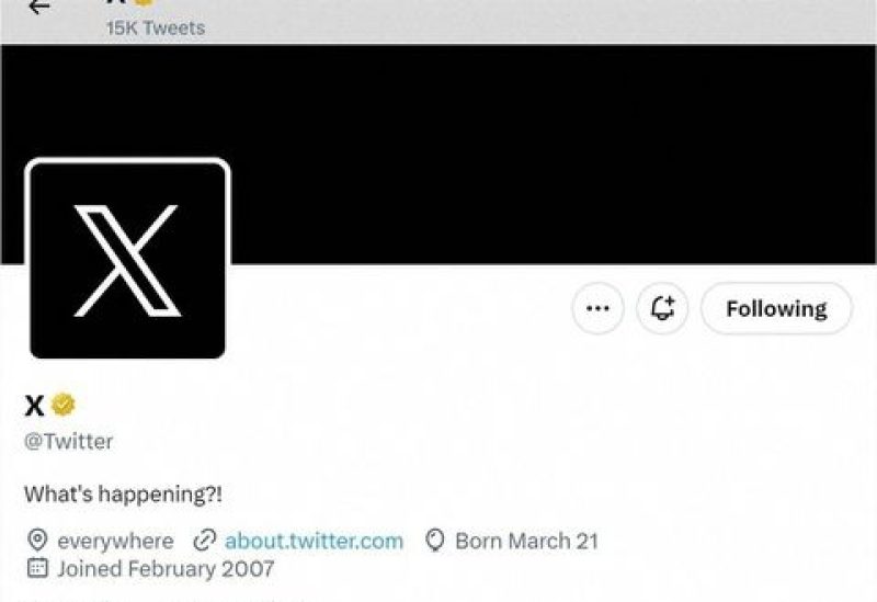 A screen capture of Twitter's official page with an "X" on the profile image is seen on July 23, 2023 in this screengrab obtained from a social media website. via REUTERS/File Photo/File Photo/File Photo