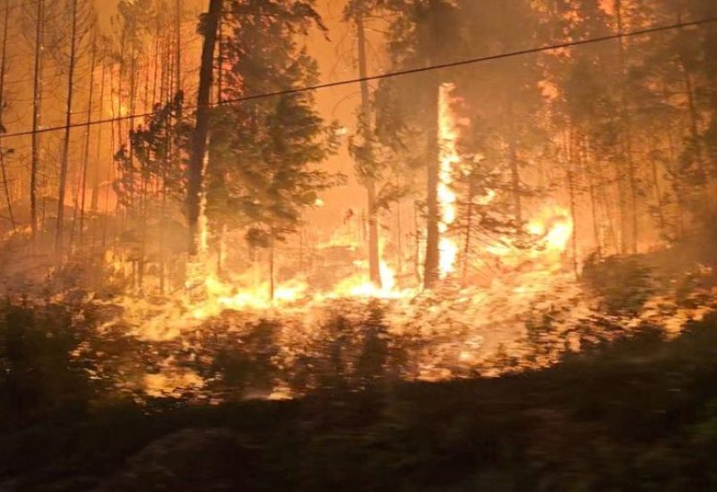 A view of fire close to highway near Sorrento, British Columbia, Canada, August 18, 2023 in this screen grab obtained from social media video