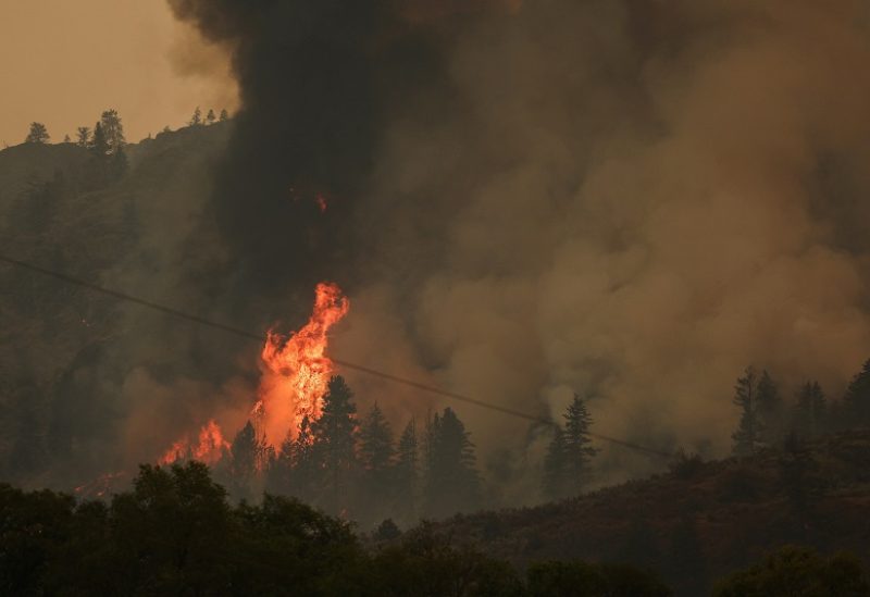 FILE PHOTO: Trees catch fire during the Eagle Bluff wildfire after it crossed the Canada-U.S. border from the state of Washington and prompted evacuation orders, in Osoyoos, British Columbia, Canada July 30, 2023. REUTERS/Jesse Winter/File Photo