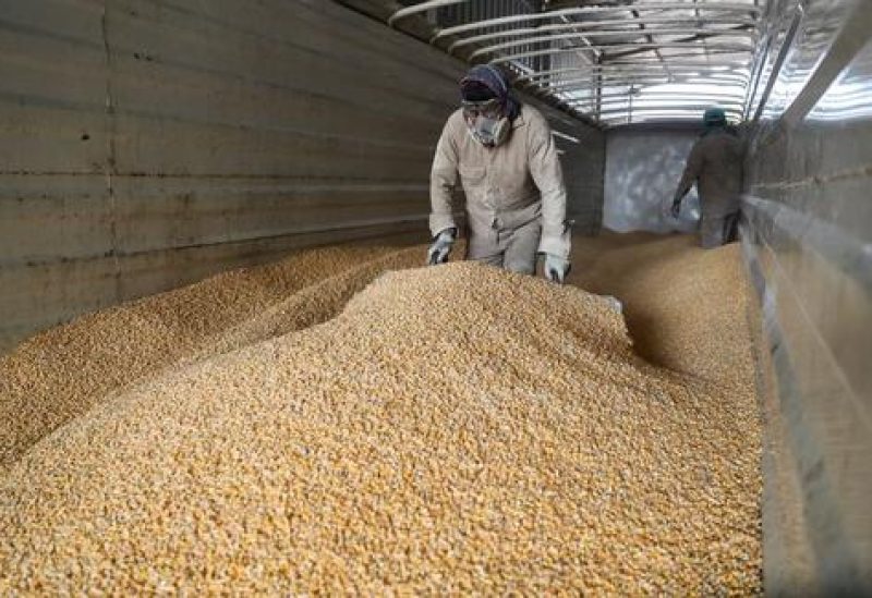 Workers unload a truck with GMO yellow corn imported from the U.S. at a cattle feed plant in Tepexpan, Mexico March 15, 2023. REUTERS/Raquel Cunha