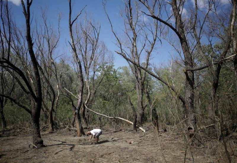 A man investigates a crater visible at the presumed crash site of a Russian army drone, close to charred tree trunks and a blast area, near Plauru, Tulcea county, Romania, September 7, 2023. Inquam Photos/Ovidiu Micsik via REUTERS/File Photo