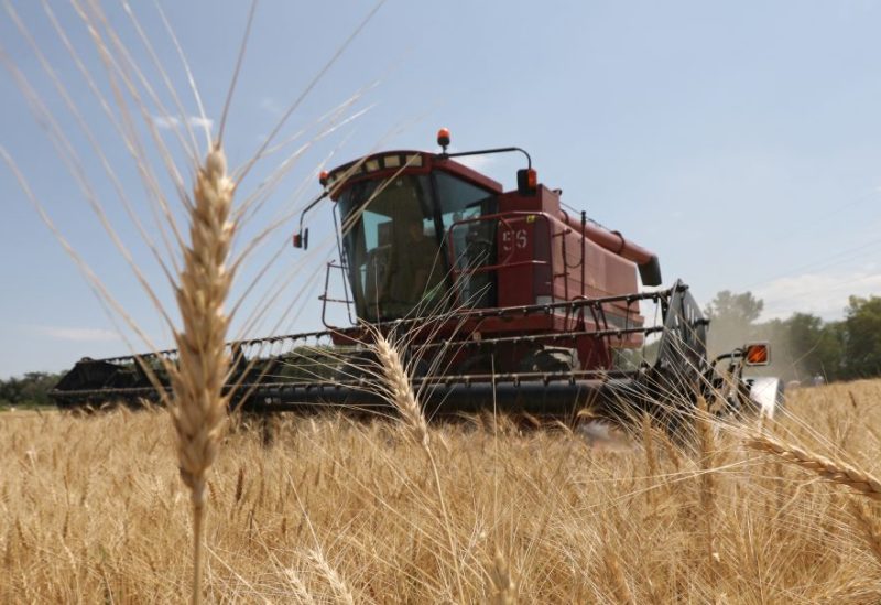 A combine harvests wheat in a field in Almaty Region, Kazakhstan July 14, 2021. REUTERS/Pavel Mikheyev/File Photo
