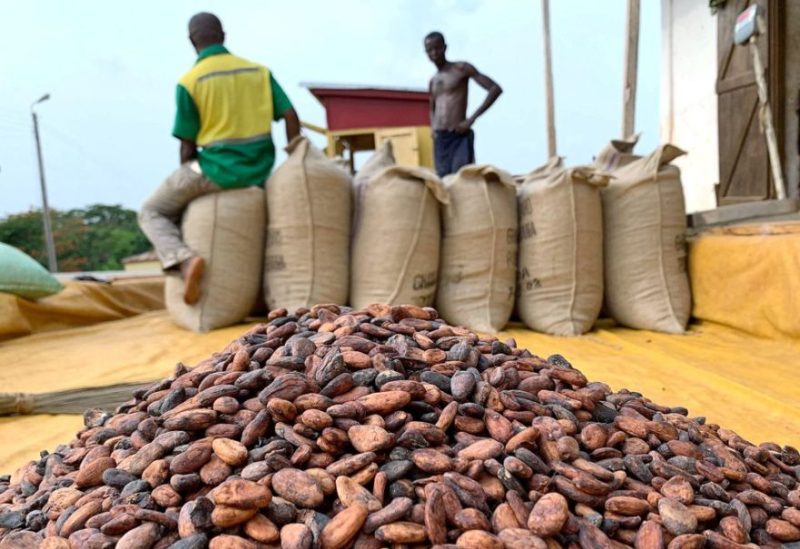 Cocoa beans are pictured next to a warehouse at the village of Atroni, near Sunyani, Ghana April 11, 2019. Picture taken April 11, 2019. REUTERS