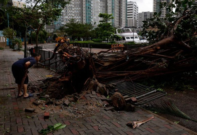 A man looks at fallen trees following Super Typhoon Saola, in Hong Kong, China September 2, 2023. REUTERS
