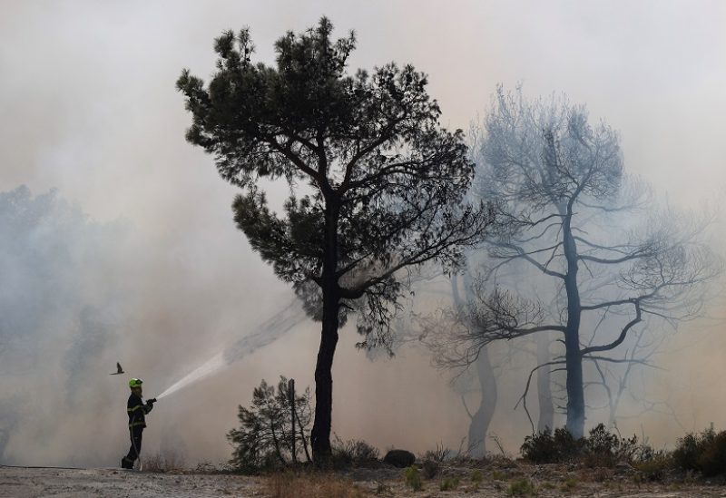 A Czech firefighter tries to extinguish a wildfire burning near the village of Provatonas in the region of Evros, Greece, September 3, 2023. REUTERS/Alexandros Avramidis