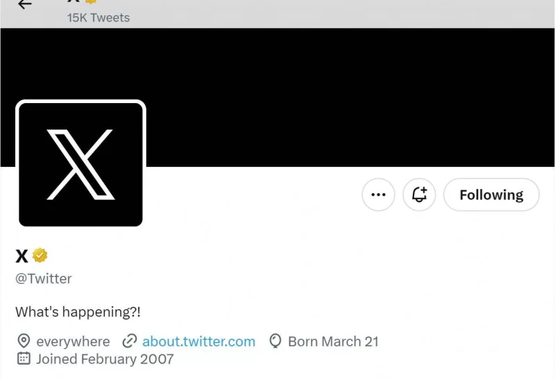 A screen capture of Twitter's official page with an "X" on the profile image is seen on July 23, 2023 in this screengrab obtained from a social media website. via REUTERS
