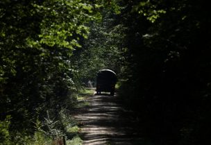 Military truck is seen in the forest, during the migrant crisis on the Polish-Belarusian border, in Topilo, Poland, October 3, 2023. REUTERS/Kacper PempelMilitary truck is seen in the forest, during the migrant crisis on the Polish-Belarusian border, in Topilo, Poland, October 3, 2023. REUTERS/Kacper Pempel
